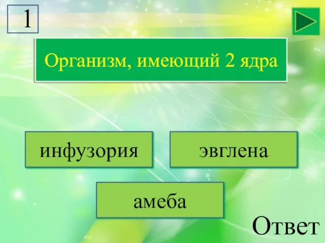 инфузория эвглена амеба Организм, имеющий 2 ядра Ответ