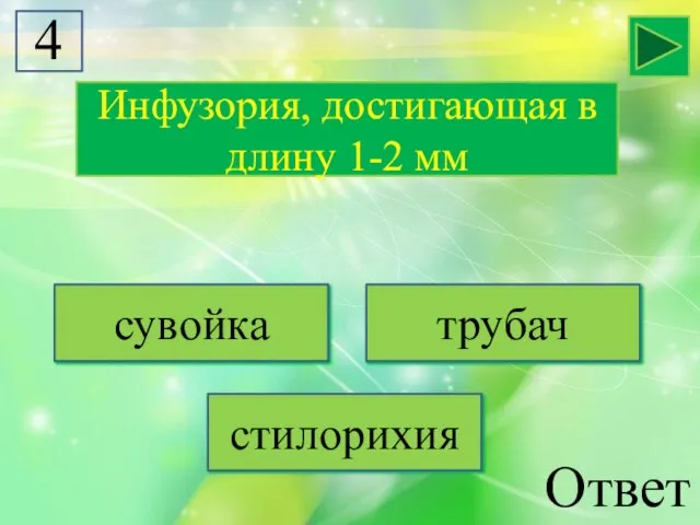 Инфузория, достигающая в длину 1-2 мм сувойка трубач стилорихия Ответ