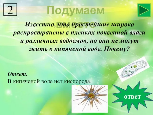 Подумаем вместе Известно, что простейшие широко распространены в пленках почвенной влаги и