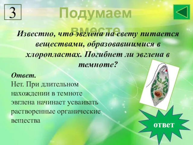 Подумаем вместе Известно, что эвглена на свету питается веществами, образовавшимися в хлоропластах.