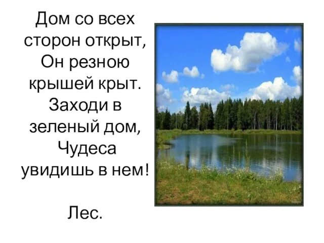 Дом со всех сторон открыт, Он резною крышей крыт. Заходи в зеленый