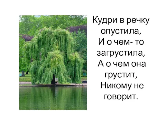 Кудри в речку опустила, И о чем- то загрустила, А о чем