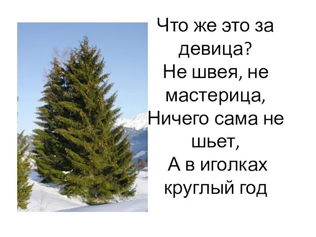 Что же это за девица? Не швея, не мастерица, Ничего сама не