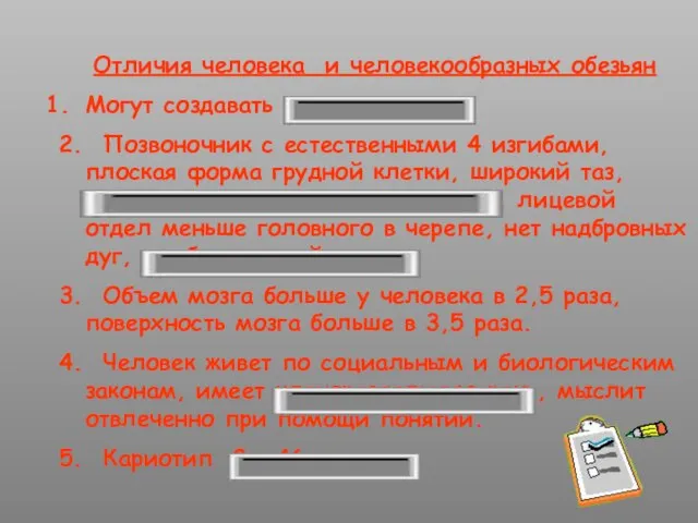 Отличия человека и человекообразных обезьян Могут создавать орудия труда. 2. Позвоночник с