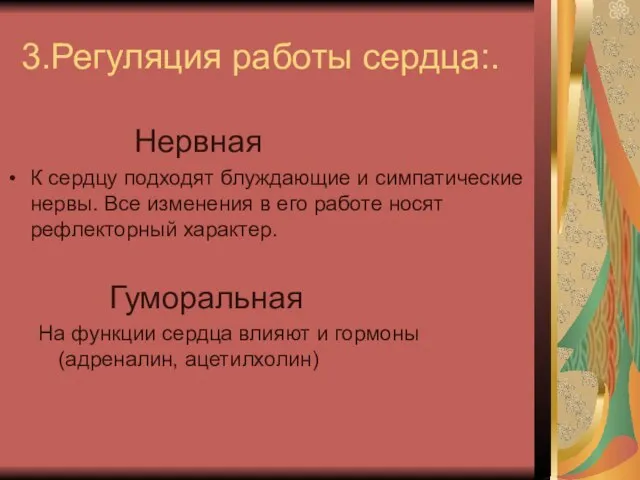 3.Регуляция работы сердца:. Нервная К сердцу подходят блуждающие и симпатические нервы. Все