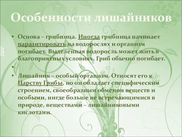 Особенности лишайников Основа – грибница. Иногда грибница начинает паразитировать на водорослях и