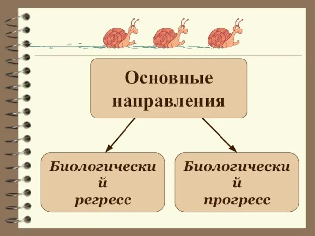 Основные направления Биологический регресс Биологический прогресс