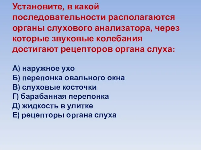 Установите, в какой последовательности располагаются органы слухового анализатора, через которые звуковые колебания