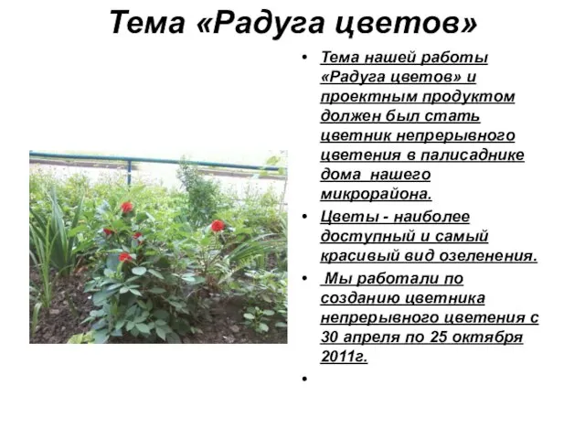 Тема «Радуга цветов» Тема нашей работы «Радуга цветов» и проектным продуктом должен