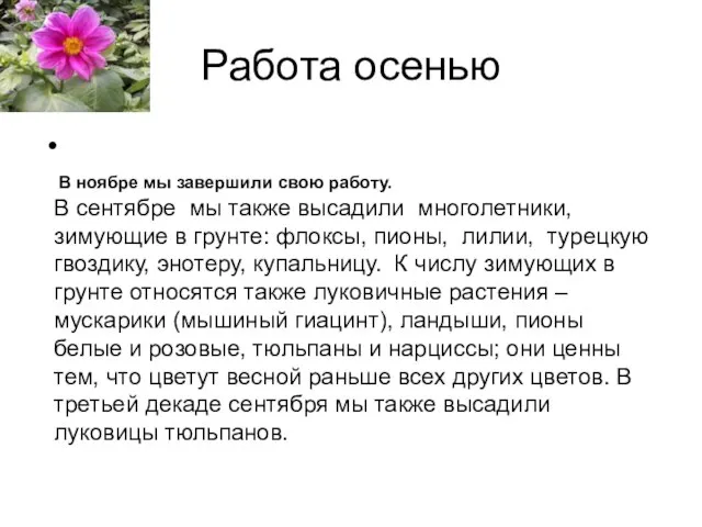 Работа осенью В ноябре мы завершили свою работу. В сентябре мы также