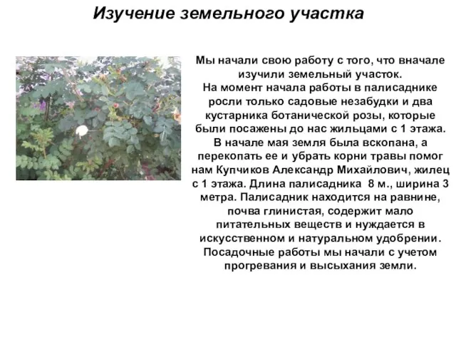 Изучение земельного участка Мы начали свою работу с того, что вначале изучили