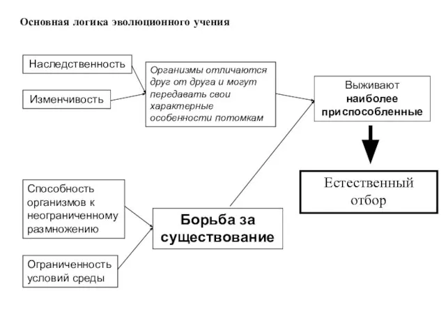 Основная логика эволюционного учения Наследственность Изменчивость Способность организмов к неограниченному размножению Ограниченность