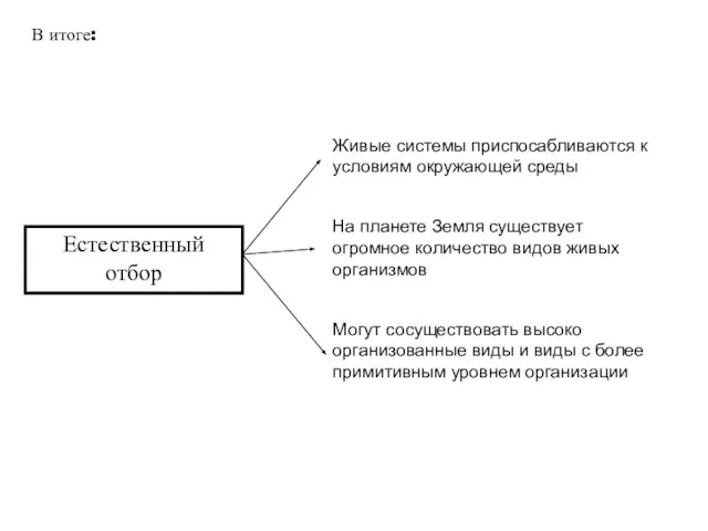 Естественный отбор В итоге: Живые системы приспосабливаются к условиям окружающей среды На