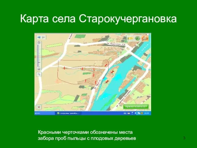 Карта села Старокучергановка Красными черточками обозначены места забора проб пыльцы с плодовых деревьев