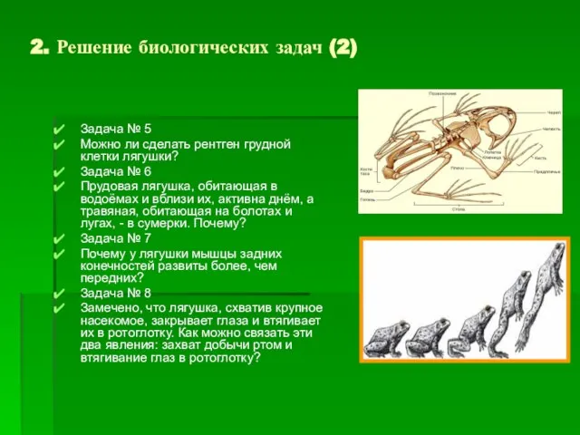 Задача № 5 Можно ли сделать рентген грудной клетки лягушки? Задача №