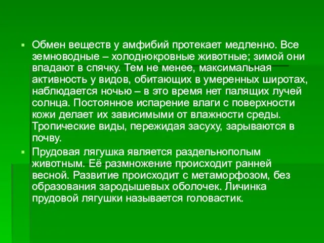 Обмен веществ у амфибий протекает медленно. Все земноводные – холоднокровные животные; зимой