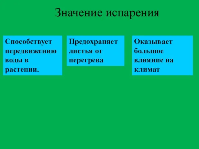 Значение испарения Способствует передвижению воды в растении. Предохраняет листья от перегрева Оказывает большое влияние на климат