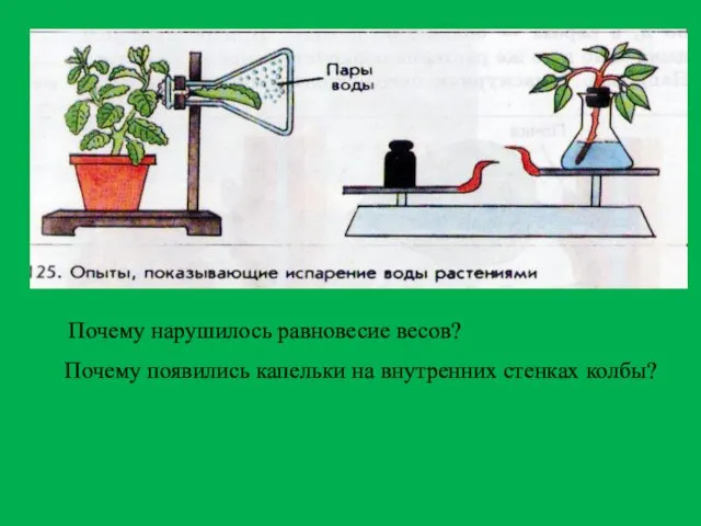 Почему нарушилось равновесие весов? Почему появились капельки на внутренних стенках колбы?