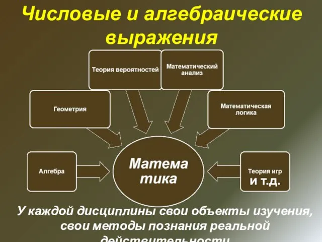 и т.д. У каждой дисциплины свои объекты изучения, свои методы познания реальной