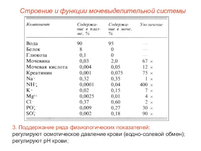 Строение и функции мочевыделительной системы 3. Поддержание ряда физиологических показателей: регулируют осмотическое