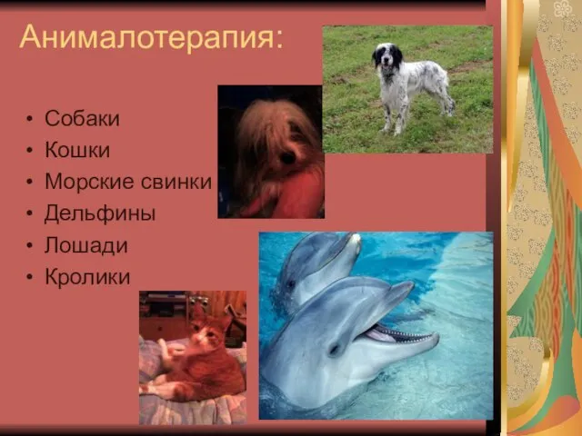 Анималотерапия: Собаки Кошки Морские свинки Дельфины Лошади Кролики