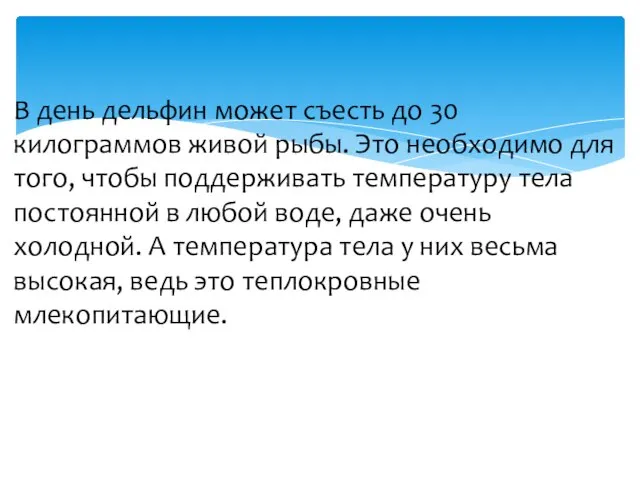 В день дельфин может съесть до 30 килограммов живой рыбы. Это необходимо