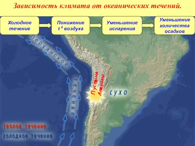 Холодное течение Понижение t 0 воздуха Уменьшение испарения Уменьшение количества осадков Пустыня