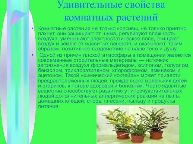 Удивительные свойства комнатных растений Комнатные растения не только красивы, не только приятно