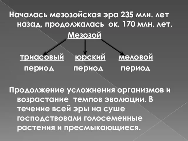 Началась мезозойская эра 235 млн. лет назад, продолжалась ок. 170 млн. лет.