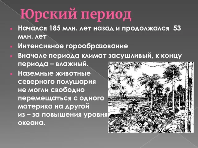 Юрский период Начался 185 млн. лет назад и продолжался 53 млн. лет