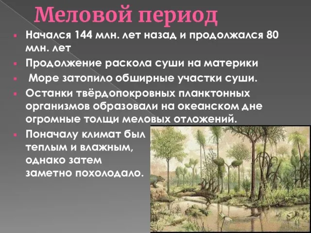 Меловой период Начался 144 млн. лет назад и продолжался 80 млн. лет