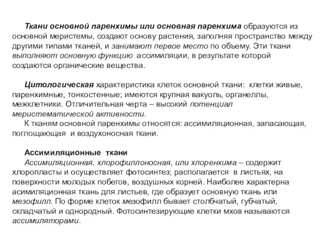 Ткани основной паренхимы или основная паренхима образуются из основной меристемы, создают основу