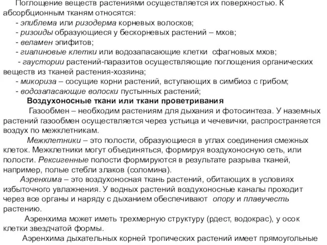 Поглощающие или абсорбционные ткани Поглощение веществ растениями осуществляется их поверхностью. К абсорбционным