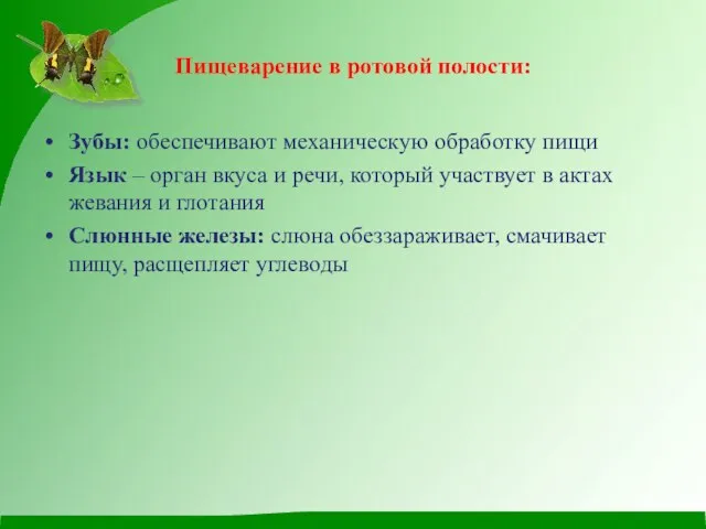 Пищеварение в ротовой полости: Зубы: обеспечивают механическую обработку пищи Язык – орган