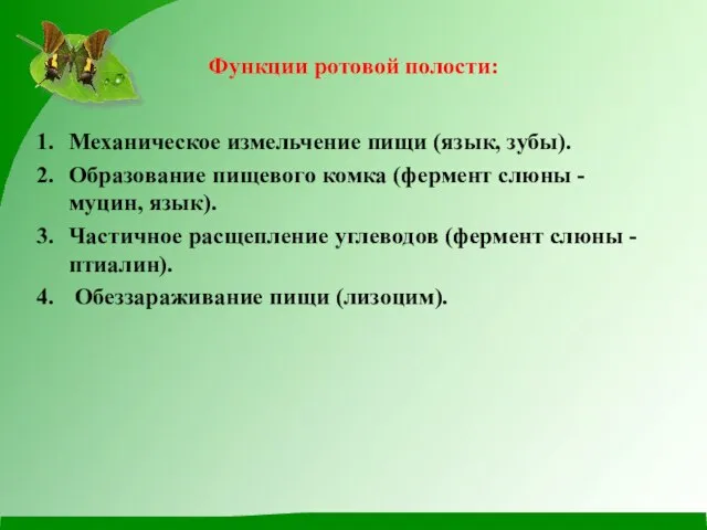 Функции ротовой полости: Механическое измельчение пищи (язык, зубы). Образование пищевого комка (фермент