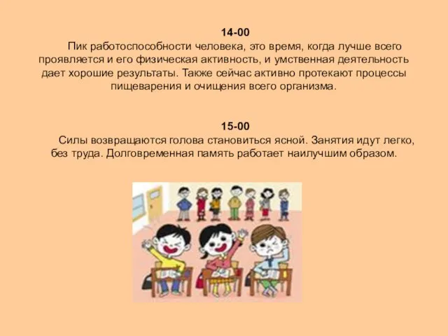 14-00 Пик работоспособности человека, это время, когда лучше всего проявляется и его