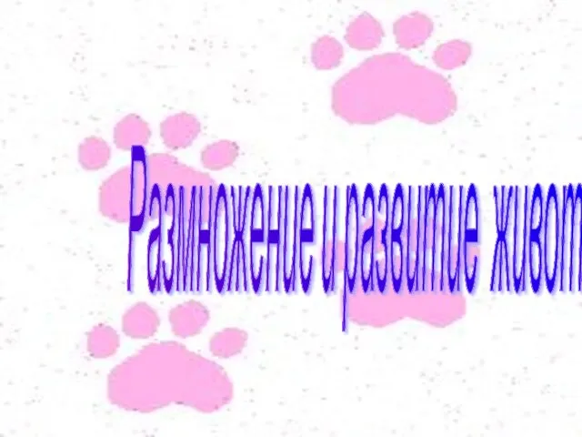 Размножение и развитие животных