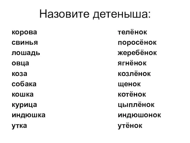 Назовите детеныша: корова свинья лошадь овца коза собака кошка курица индюшка утка