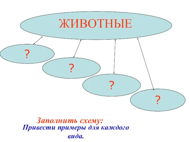 ЖИВОТНЫЕ ? ? ? ? Заполнить схему: Привести примеры для каждого вида.