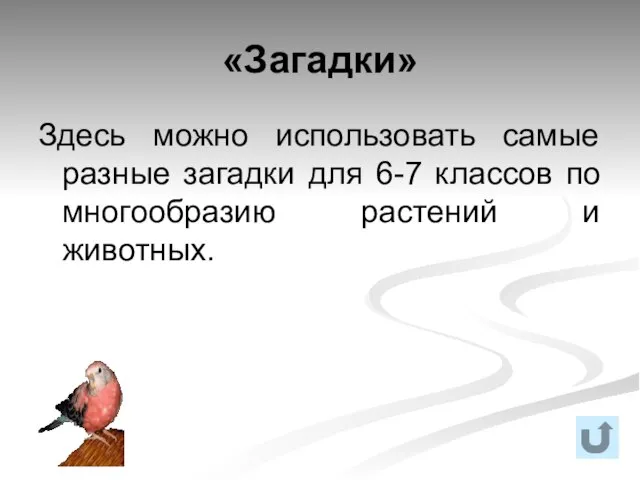 «Загадки» Здесь можно использовать самые разные загадки для 6-7 классов по многообразию растений и животных.