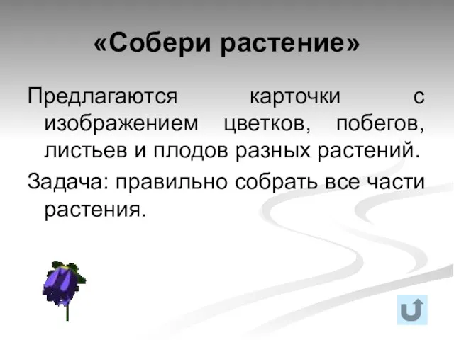 «Собери растение» Предлагаются карточки с изображением цветков, побегов, листьев и плодов разных