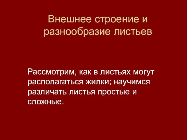 Внешнее строение и разнообразие листьев Рассмотрим, как в листьях могут располагаться жилки;