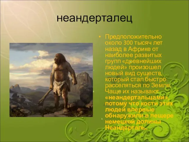 неандерталец Предположительно около 300 тысяч лет назад в Африке от наиболее развитых