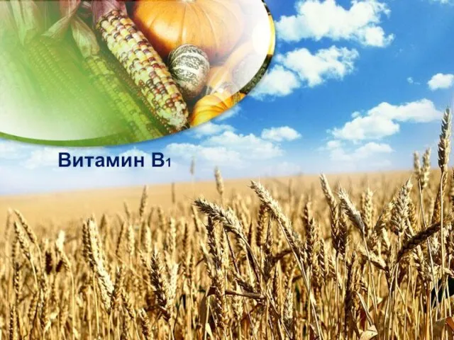 Витамин В1