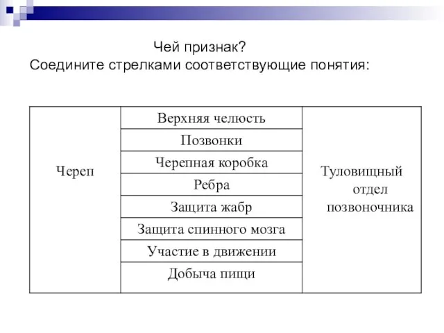 Чей признак? Соедините стрелками соответствующие понятия: