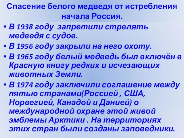 Спасение белого медведя от истребления начала Россия.