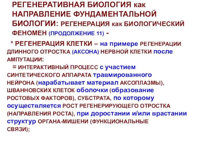 РЕГЕНЕРАТИВНАЯ БИОЛОГИЯ как НАПРАВЛЕНИЕ ФУНДАМЕНТАЛЬНОЙ БИОЛОГИИ: РЕГЕНЕРАЦИЯ как БИОЛОГИЧЕСКИЙ ФЕНОМЕН (ПРОДОЛЖЕНИЕ 11)