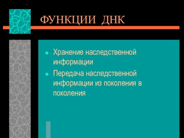 ФУНКЦИИ ДНК Хранение наследственной информации Передача наследственной информации из поколения в поколения