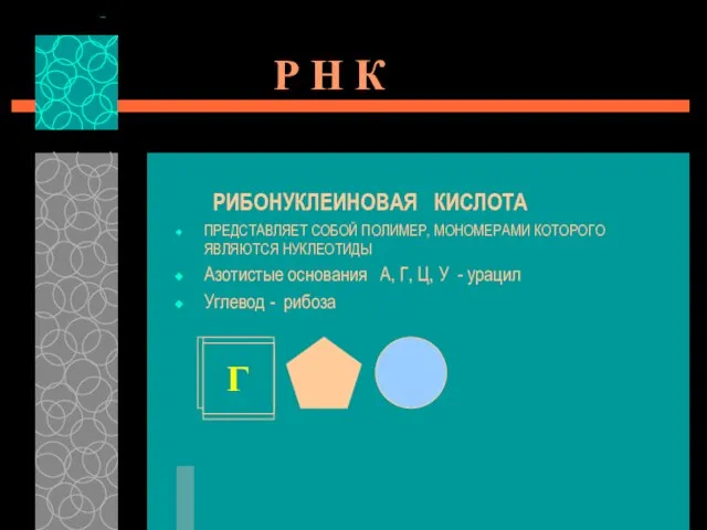 Р Н К РИБОНУКЛЕИНОВАЯ КИСЛОТА ПРЕДСТАВЛЯЕТ СОБОЙ ПОЛИМЕР, МОНОМЕРАМИ КОТОРОГО ЯВЛЯЮТСЯ НУКЛЕОТИДЫ