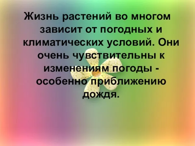 Жизнь растений во многом зависит от погодных и климатических условий. Они очень